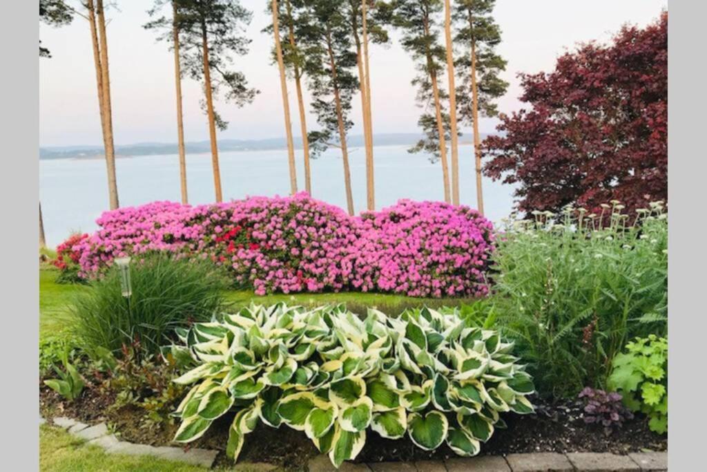 Tjoern Gaeststuga Naera Hakefjorden Berga  Bagian luar foto